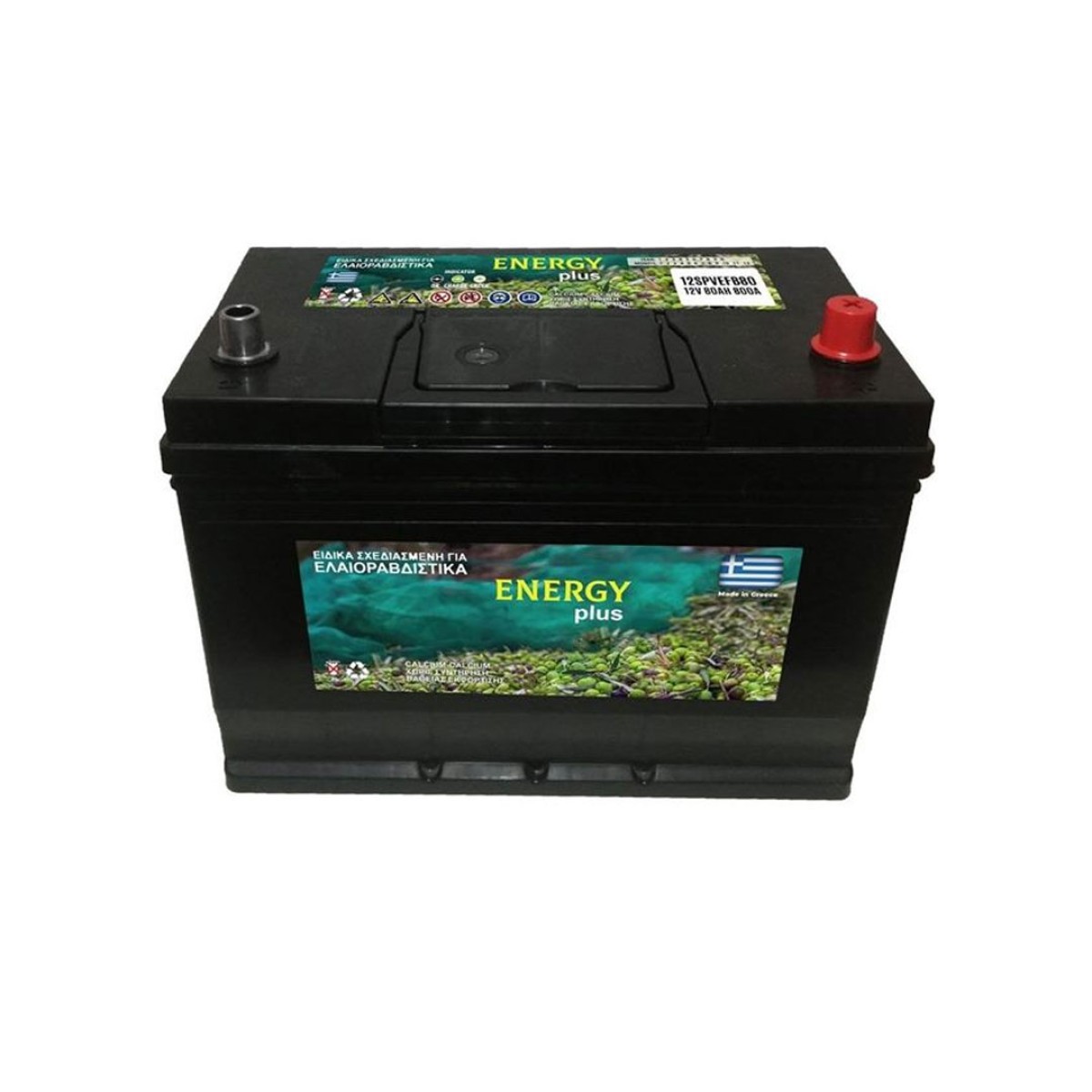 Energy Plus Μπαταρία Βαθιάς Εκφόρτισης 12V 80Ah 800A Για Ελαιοραβδιστικά